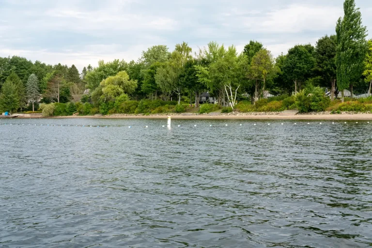 Zone de baignade balisée et rive boisée de la plage de Southière-sur-le-Lac