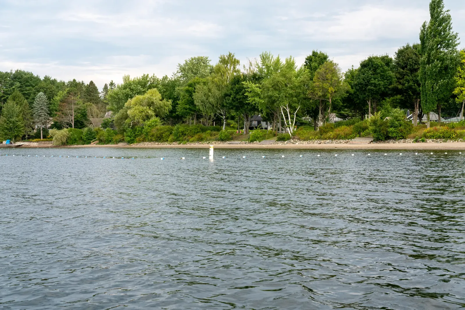 Zone de baignade balisée et rive boisée de la plage de Southière-sur-le-Lac